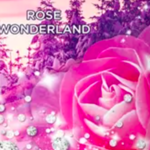rose-wonderland-sizzlers